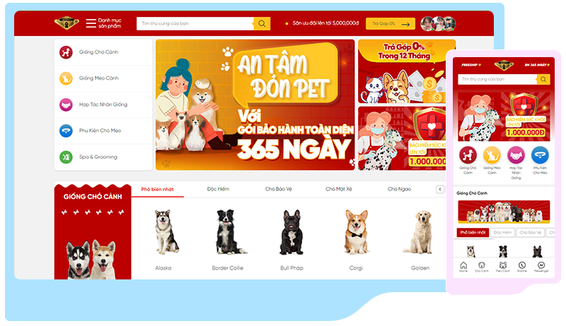 azpet2 1